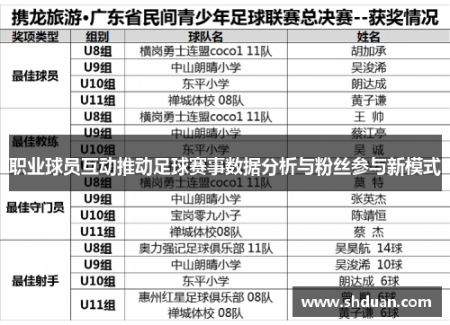 职业球员互动推动足球赛事数据分析与粉丝参与新模式